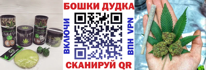 Canna-Cookies марихуана Купить закладки Исилькуль