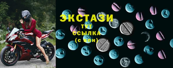 индика Лабытнанги
