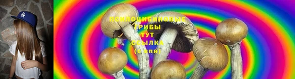индика Лабытнанги