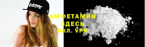 индика Лабытнанги