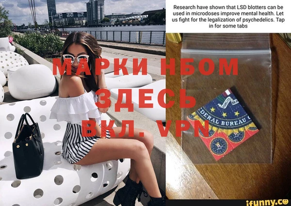 индика Лабытнанги