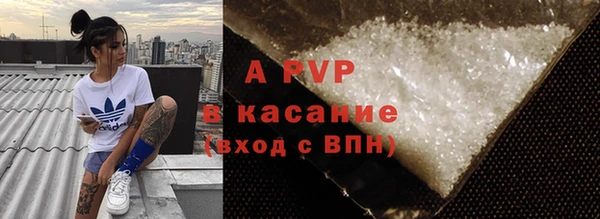 индика Лабытнанги
