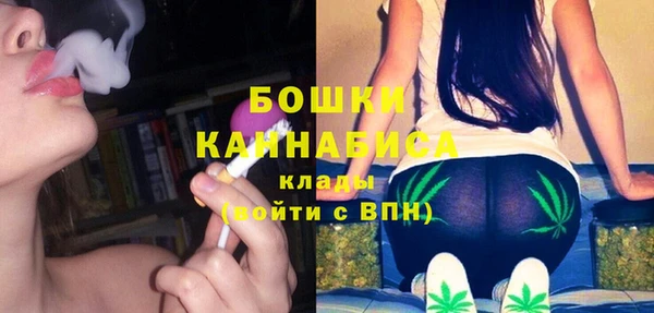 spice Ладушкин